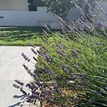 Tony's House In Garden Vila *
