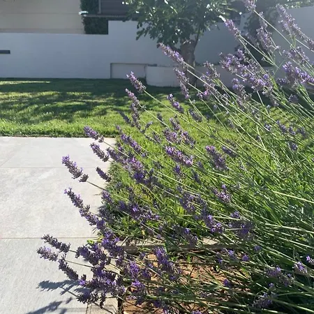 Tony's House In Garden Villa *