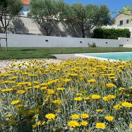 Tony's House With Private Pool, Garden And Parking Zara