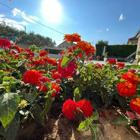 Tony's House In Garden Villa