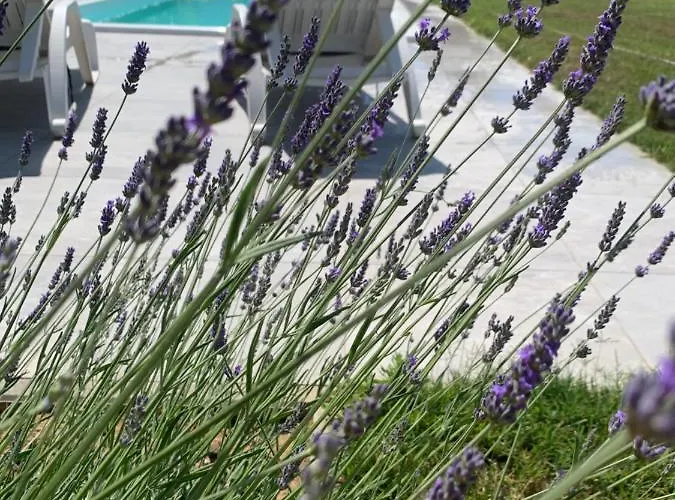 Вілла Tony's House In Garden Задар