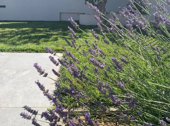 Tony's House In Garden Вілла *