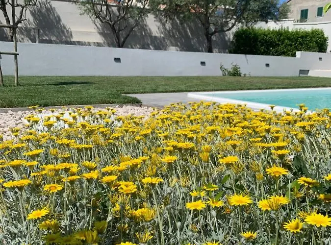 Tony's House In Garden Задар