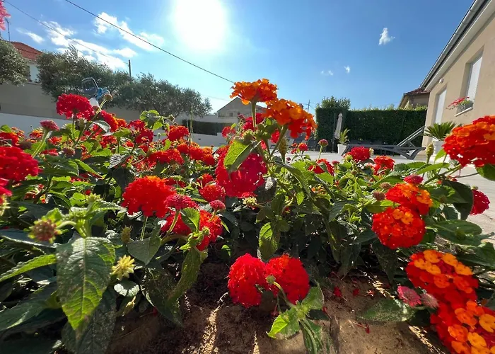 Tony's House In Garden Вілла